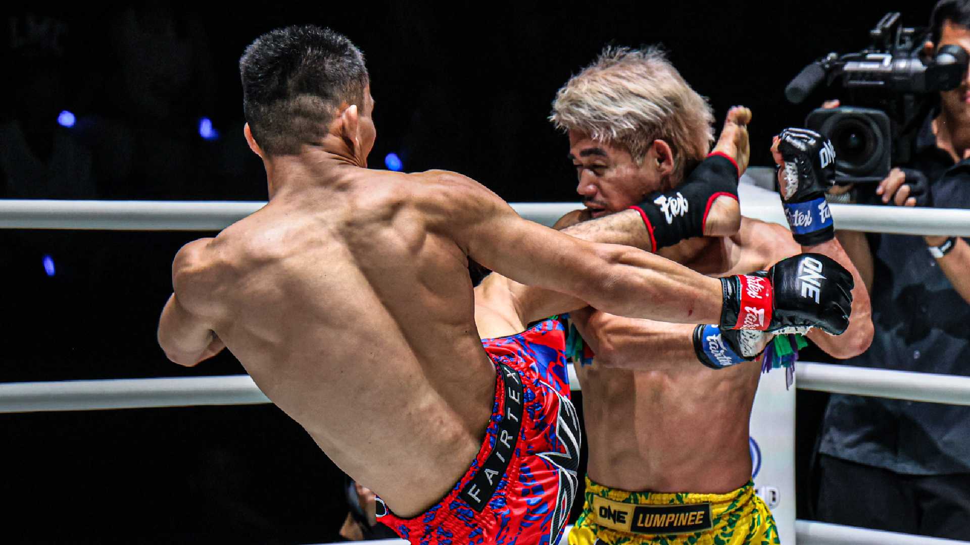 one fight 151